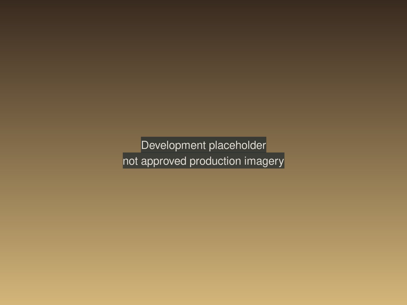 Development placeholder  -  not approved production imagery.