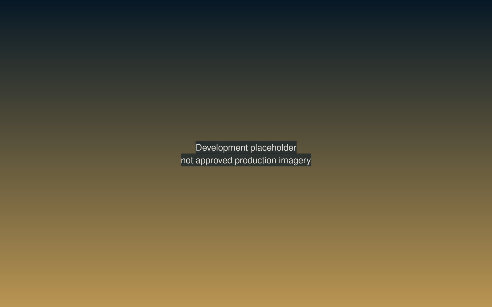 Development placeholder  -  not approved production imagery.