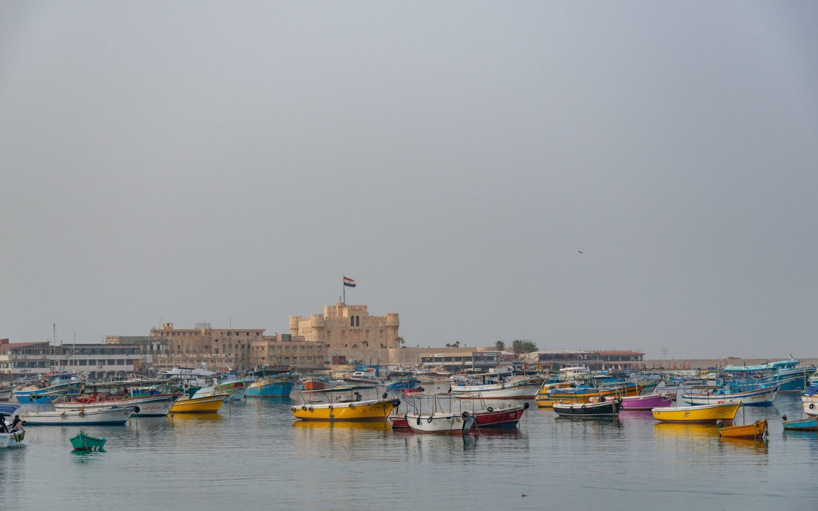 Alexandria Experience