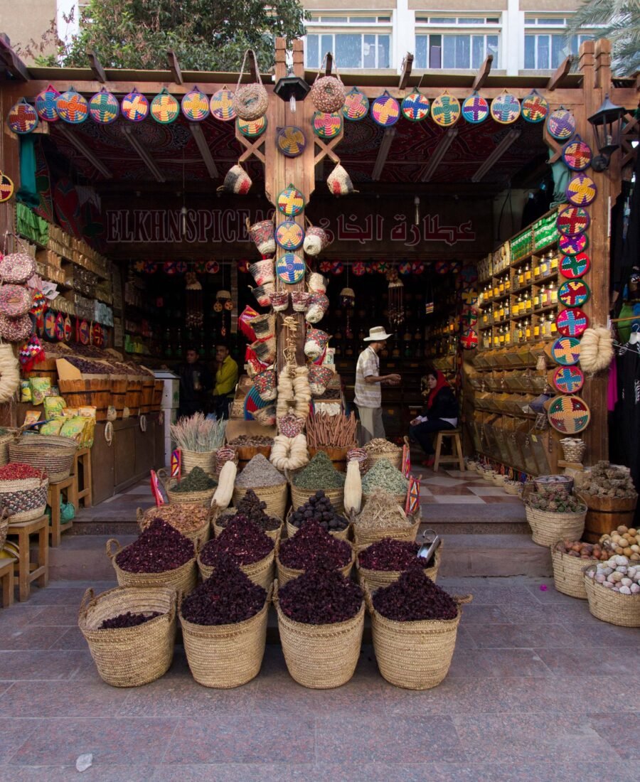 Nubian Heritage: Museum, Village and Hosted Lunch